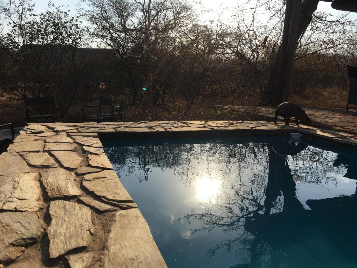 Giraffe Lodge フッドスプルイト エクステリア 写真